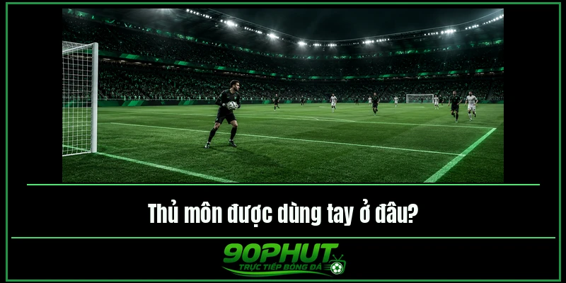 Thủ môn được dùng tay ở đâu
