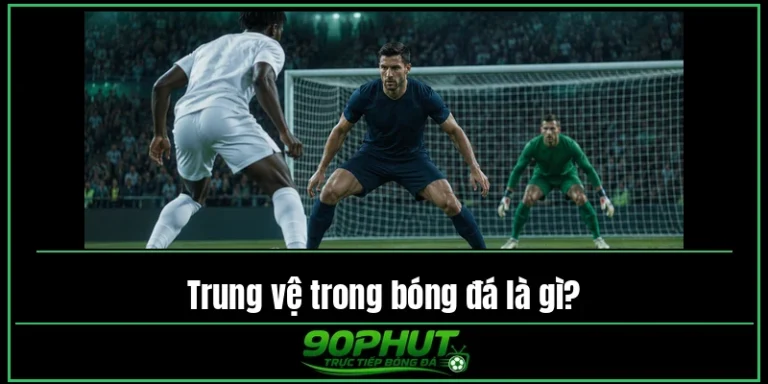 Trung Vệ Trong Bóng Đá Là Gì? Vai Trò, Nhiệm Vụ Của CB