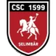 Logo ACS Viitorul Selimbar